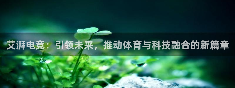 k1电竞比赛：艾湃电竞：引领未来，推动体育与科技融合的新篇章