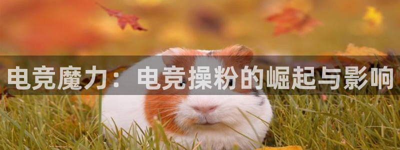 k1电竞俱乐部：电竞魔力：电竞操粉的崛起与影响