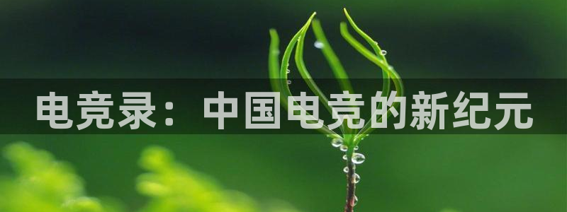 k1电竞俱乐部：电竞录：中国电竞的新纪元