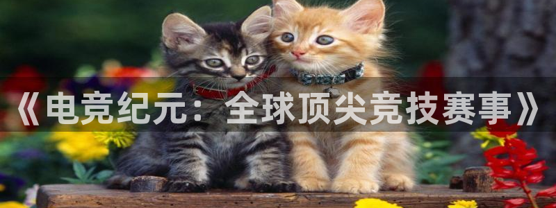 k1电竞在哪下单：《电竞纪元：全球顶尖竞技赛事》