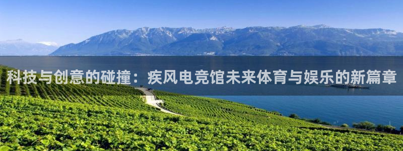 k1电竞比赛：科技与创意的碰撞：疾风电竞馆未来体育与娱乐的新篇章