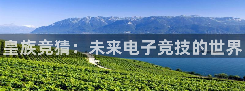 k1电竞在哪下单：皇族竞猜：未来电子竞技的世界