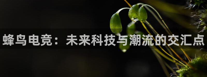 k1电竞在哪下单：蜂鸟电竞：未来科技与潮流的交汇点