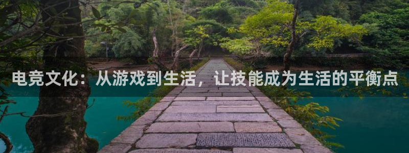 k1电竞：电竞文化：从游戏到生活，让技能成为生活的平衡点