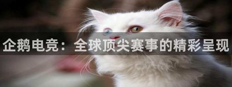 k1电竞比赛：企鹅电竞：全球顶尖赛事的精彩呈现