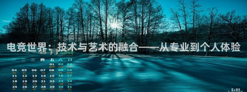 k1电竞馆：电竞世界：技术与艺术的融合——从专业到个人体验